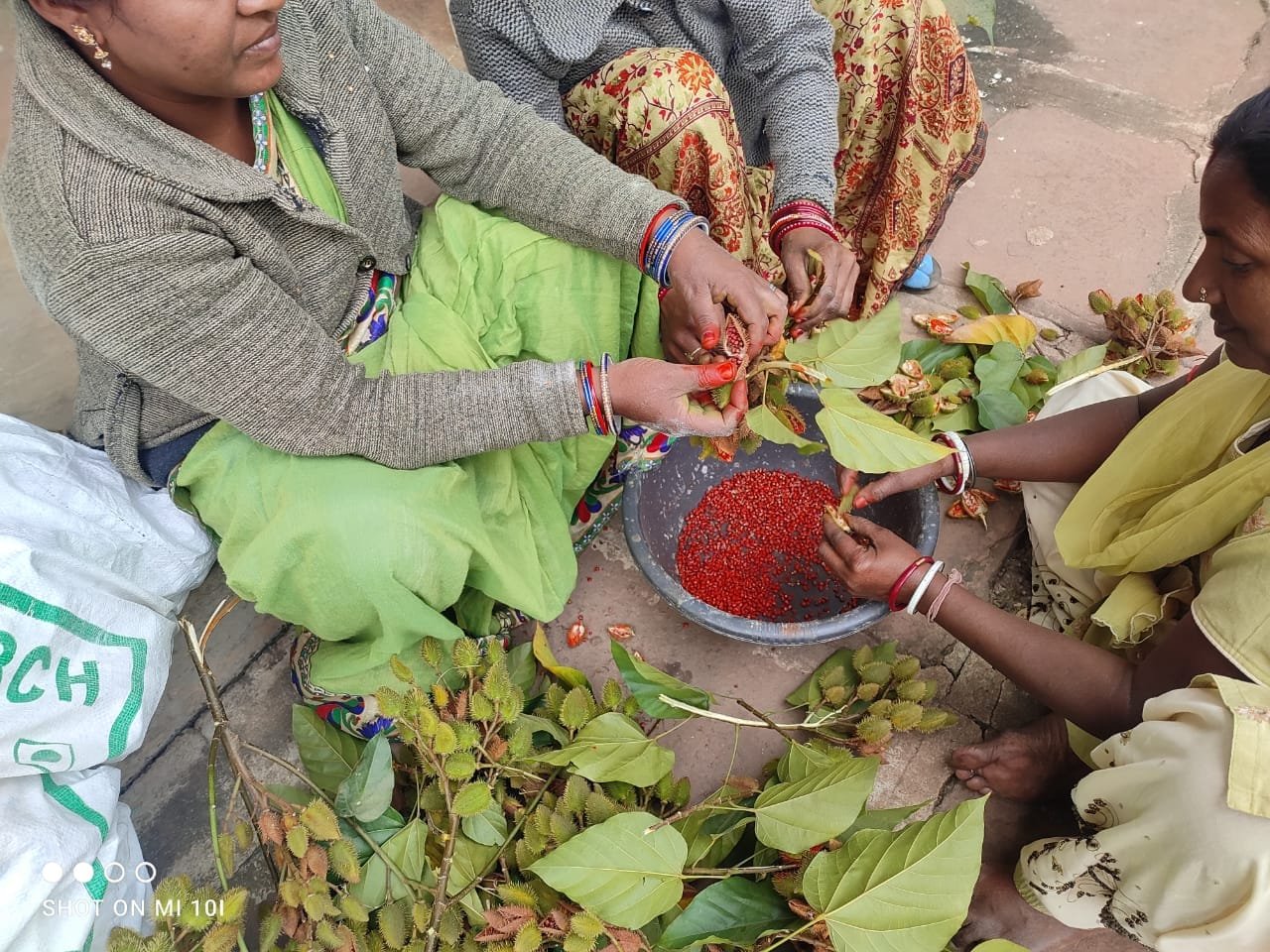 उत्सव में उत्साह को देखते हुए त्योहार में व्यवहार की जगी अलख